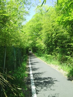 IMG_20160505_114253.jpg