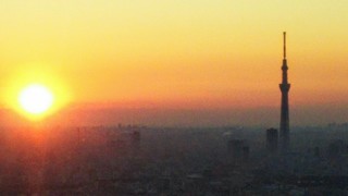 IMG_20170308_060818.jpg
