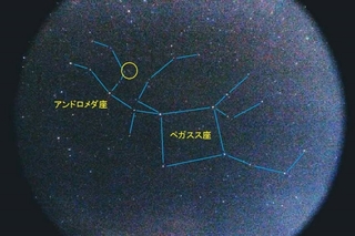 20180819113711390.jpg